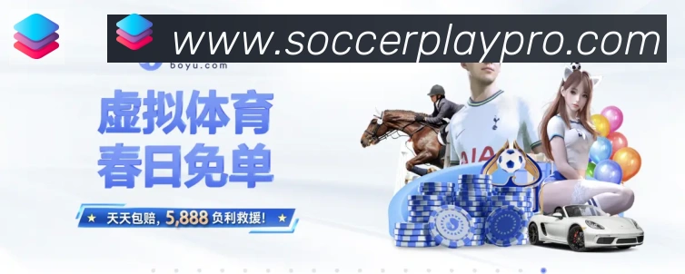 未来规划